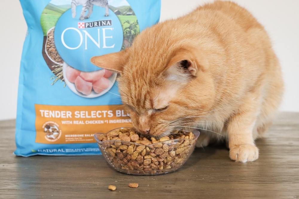 Purina One Tender Selects Blend-1