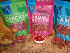 Raw Dynamic Cat Food