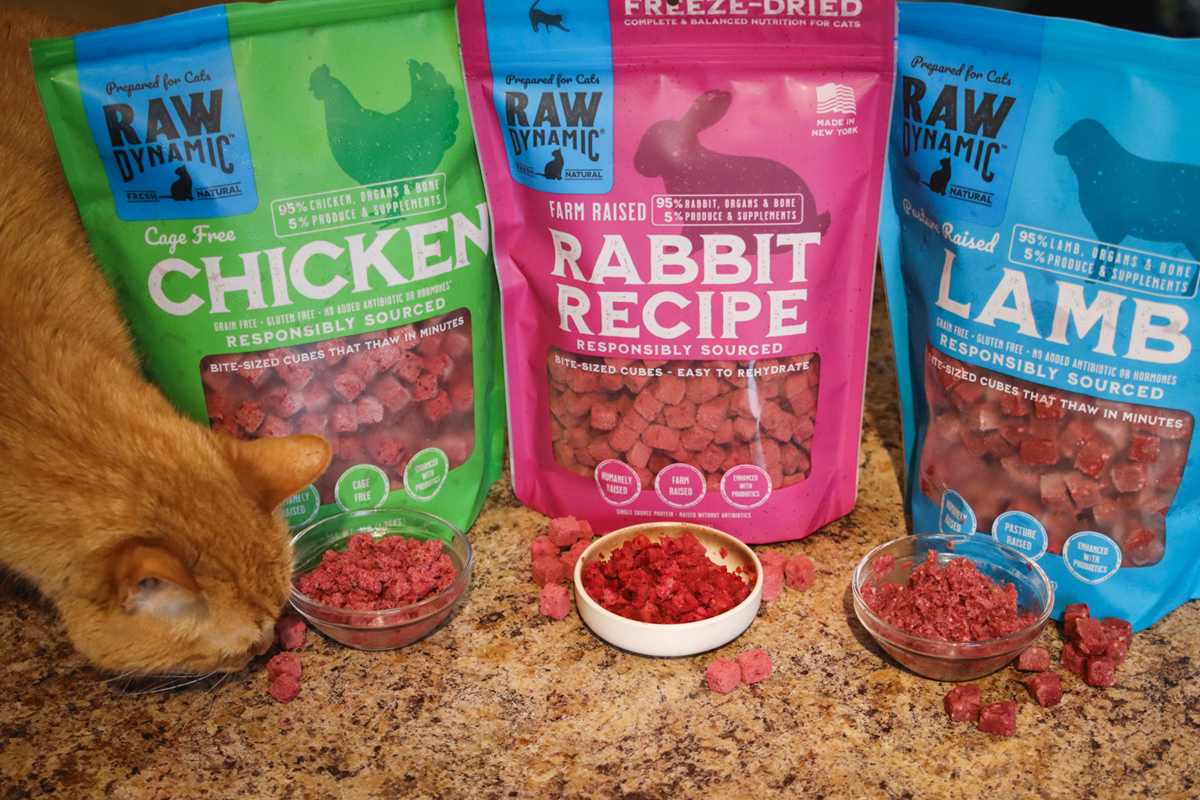 Raw Dynamic Cat Food