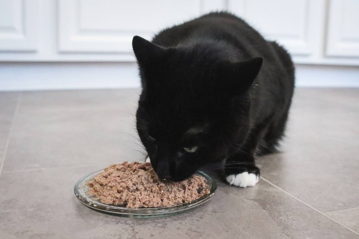 Rawz 96 Percent Turkey & Turkey Liver Pate