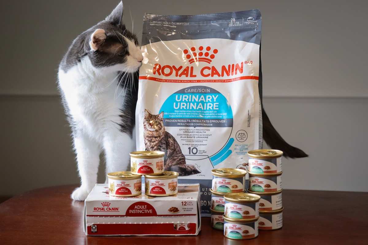 Royal Canin Cat Food