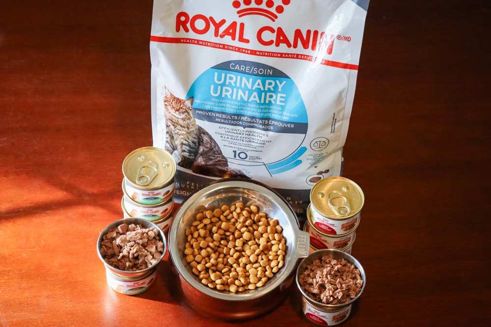 Royal Canin Cat Food