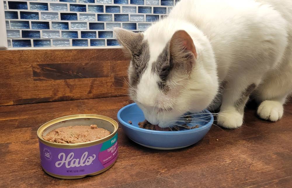 Halo Turkey & Duck Recipe Pate Grain-Free Canned Cat Food