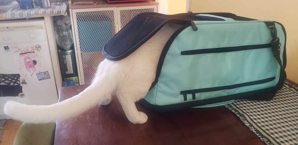 Sleepypod Air In-Cabin Pet Carrier