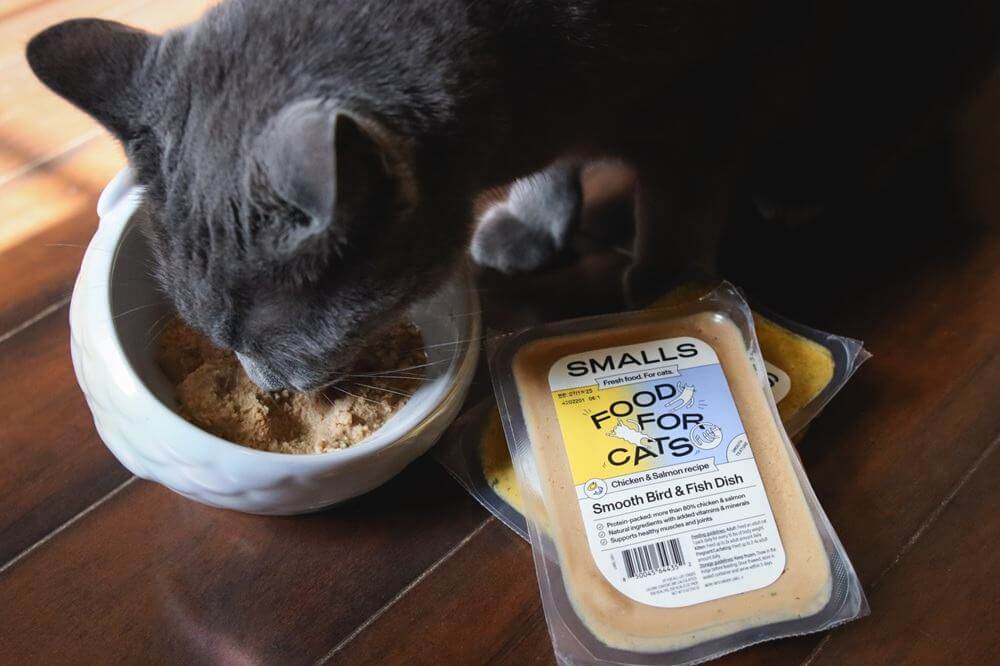 Smalls Fresh Chicken & Salmon Smooth Bird & Fish