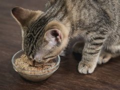 Smalls Fresh Turkey Ground & Smooth Other Bird