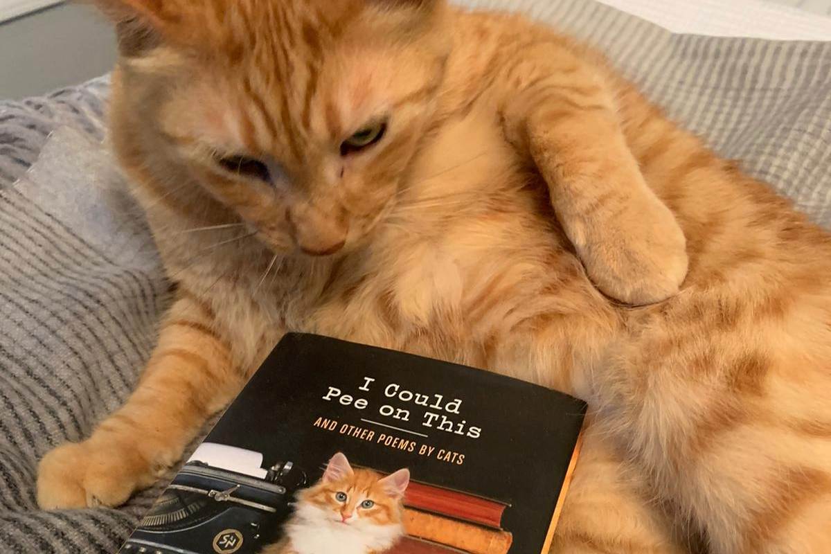 Solji next to the peeing book