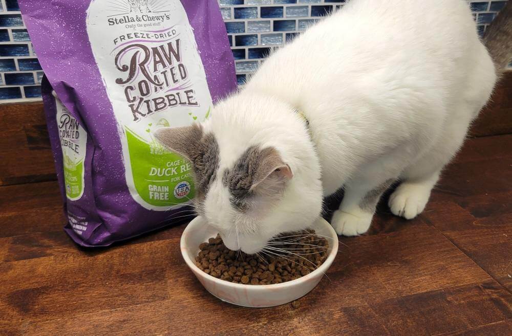 Stella & Chewy’s Raw Coated Kibble Cage-Free Duck Recipe