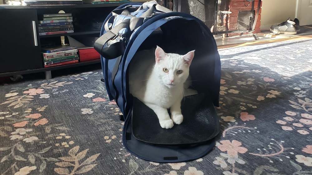 SturdiBag XL Pet Travel Carrier