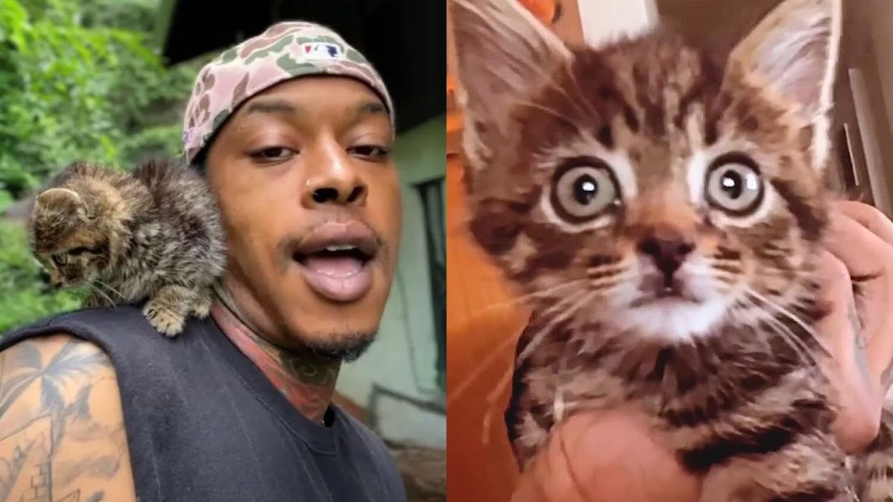 Sweet Kitten Turned Her Dad Into a Total Cat Person