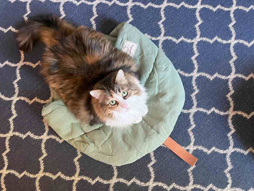TANGN Cat Sleeping Bag