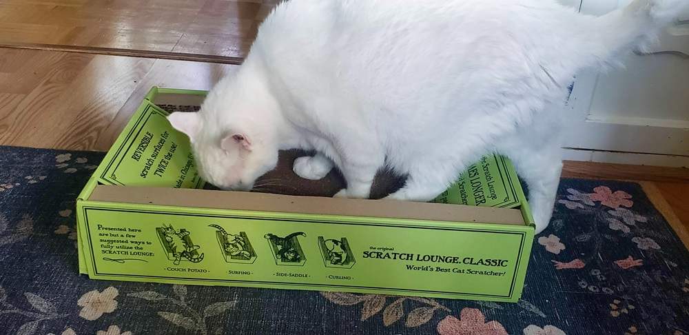 The Original Scratch Lounge