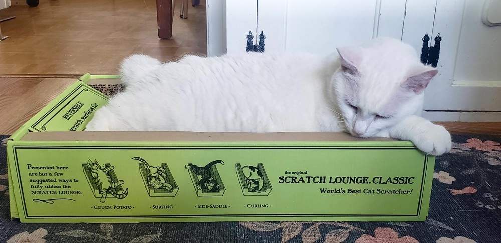 The Original Scratch Lounge