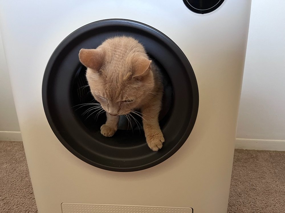 The Purrclean smart self-cleaning litter box