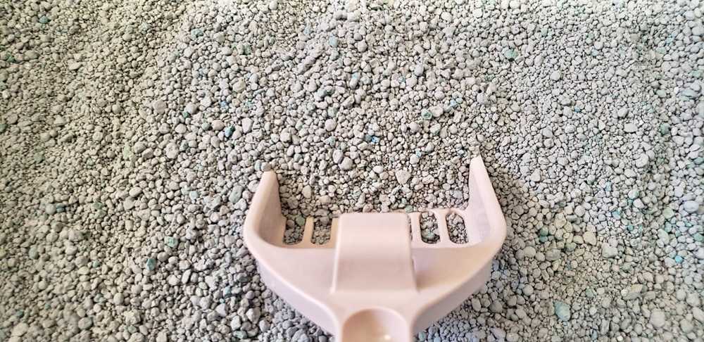 Tidy Cats 24/7 Performance Non-Clumping Clay Litter