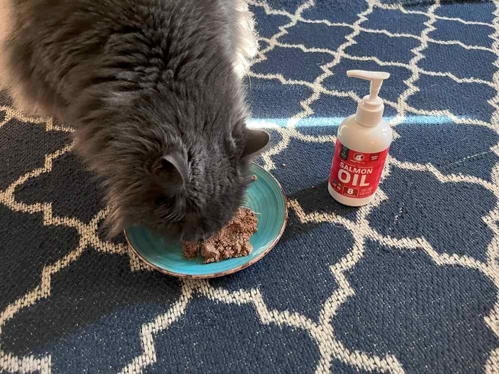 Vital Pet Life Salmon Oil