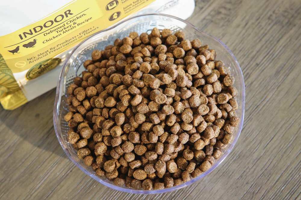 Wellness CORE+ Grain-Free High Protein Adult Dry Cat Food, Chicken, Turkey & Chicken Meal Indoor Formula Dry Cat Food