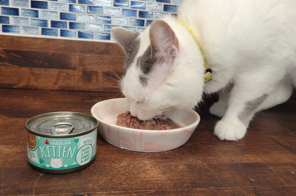 Weruva Kitten Minced Chicken & Tuna Formula in Gravy Wet Cat Food