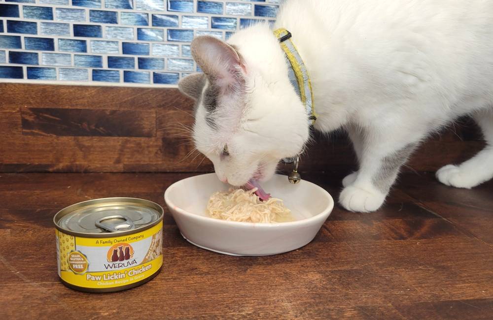 Weruva Paw Lickin’ Chicken in Gravy Wet Cat Food