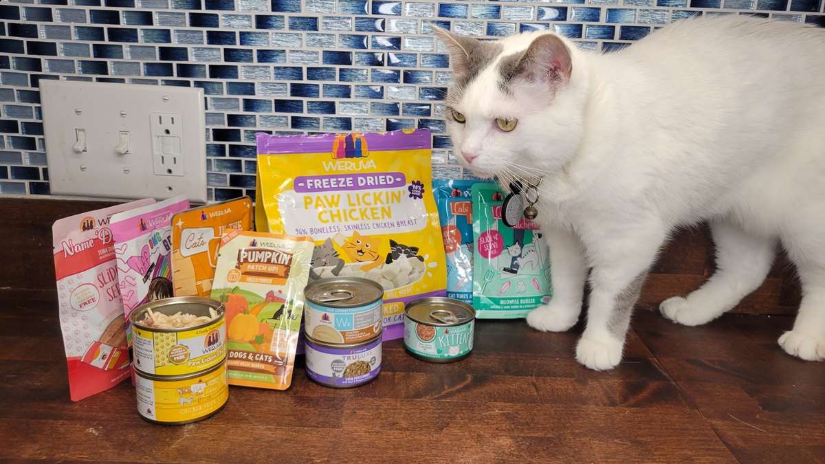Weruva cat food products